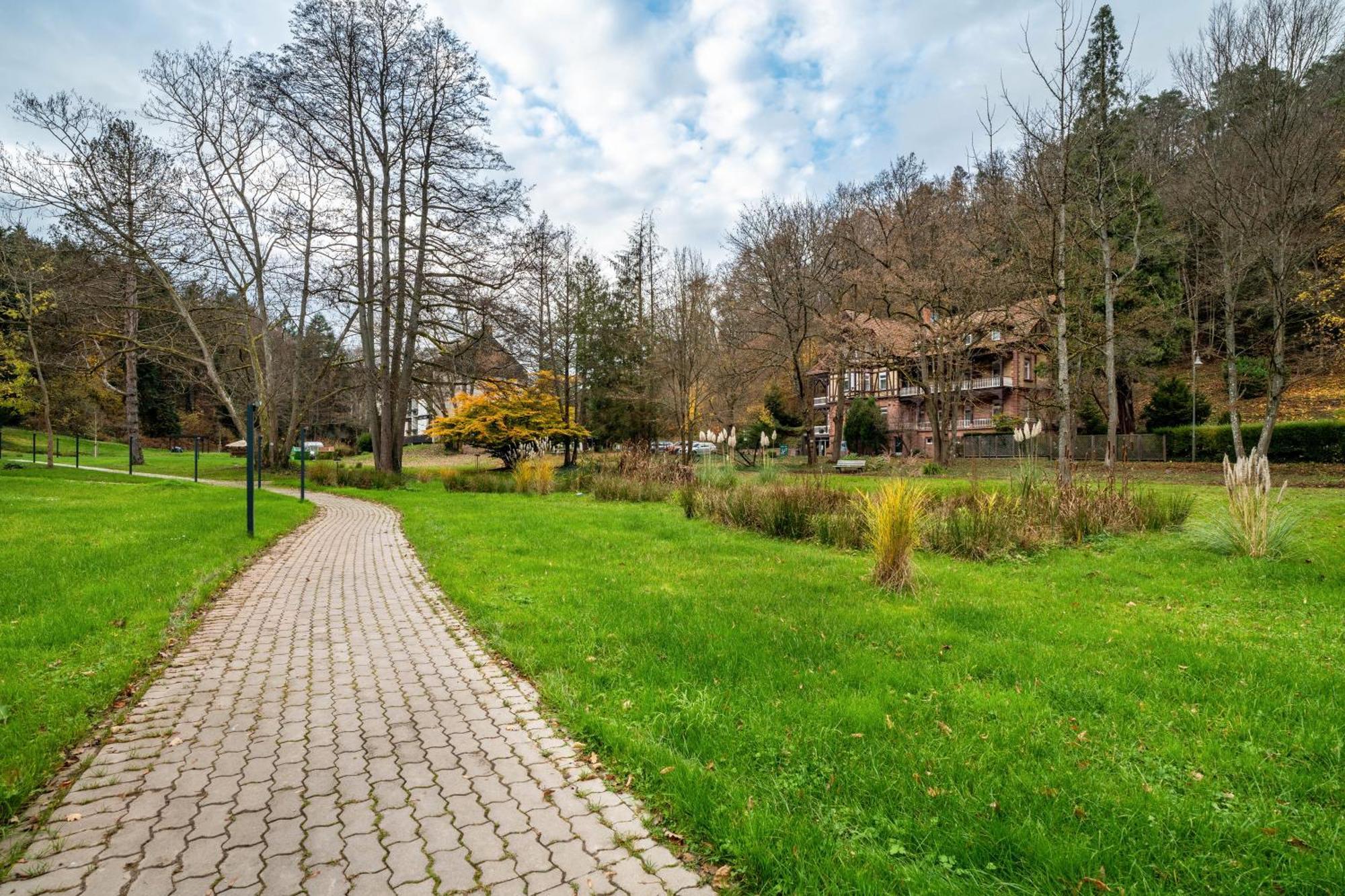 Luise Apartment Bad Bergzabern Exterior foto
